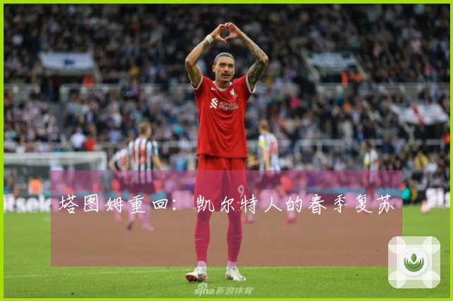 塔图姆重回：凯尔特人的春季复苏